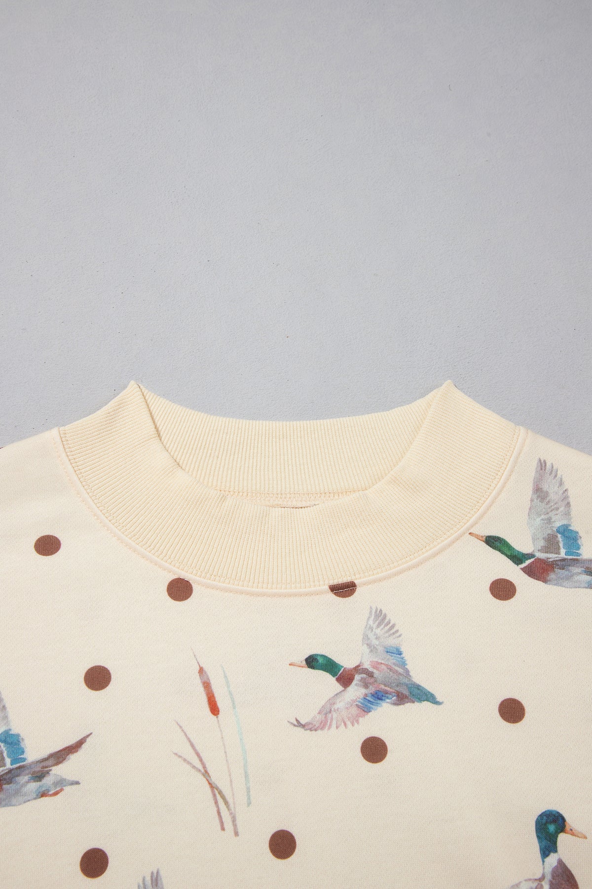 Beige Polka Dot Mallard Print Crewneck Pullover Two Piece Pants Set